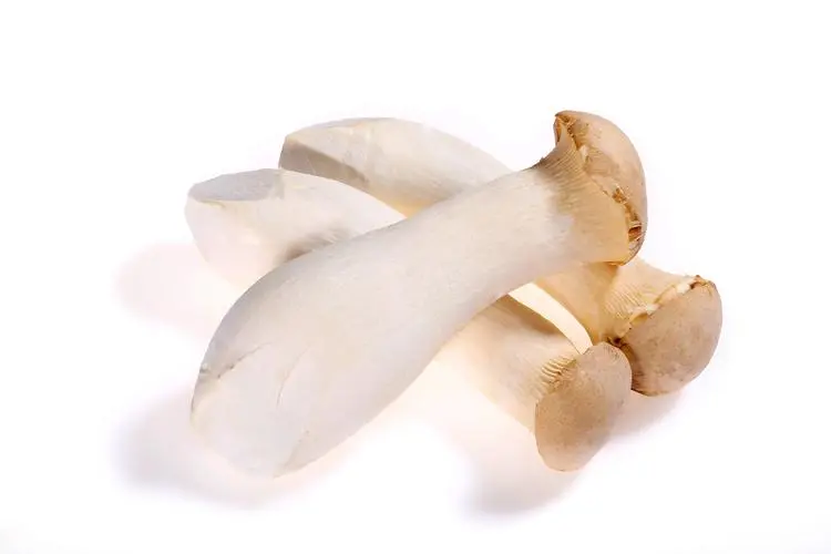 杏鮑菇的營養價值與食譜分享：健康減重的秘密武器
